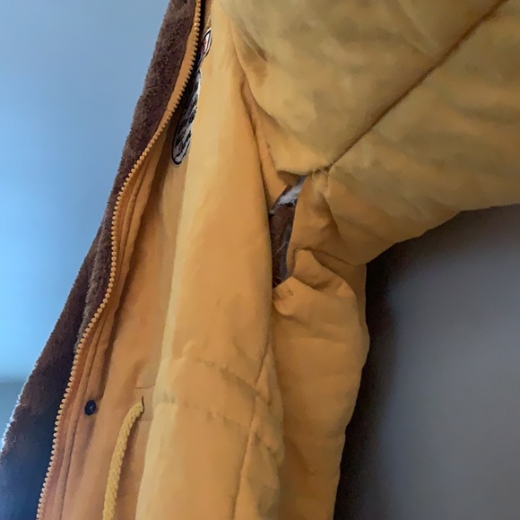 Cute Yellow Jacket - Picture 11 of 11